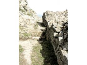 photo coins arrondis